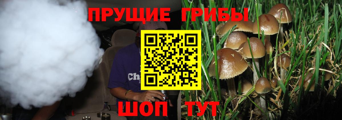 Псилоцибиновые грибы прущие грибы Тихорецк